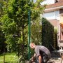 Groene eindbeugels en ijzeren palen